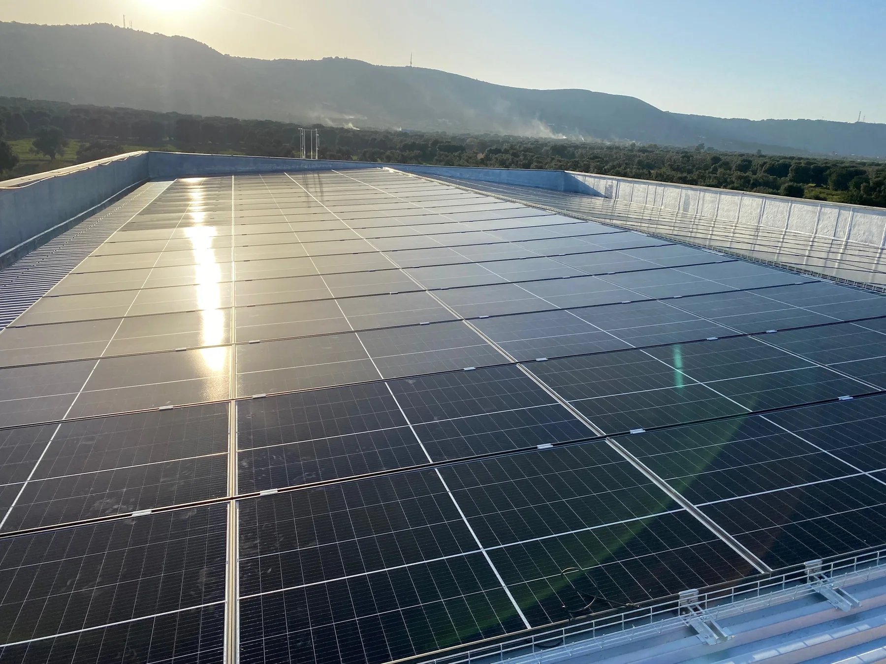 Campo fotovoltaico su copertura industriale